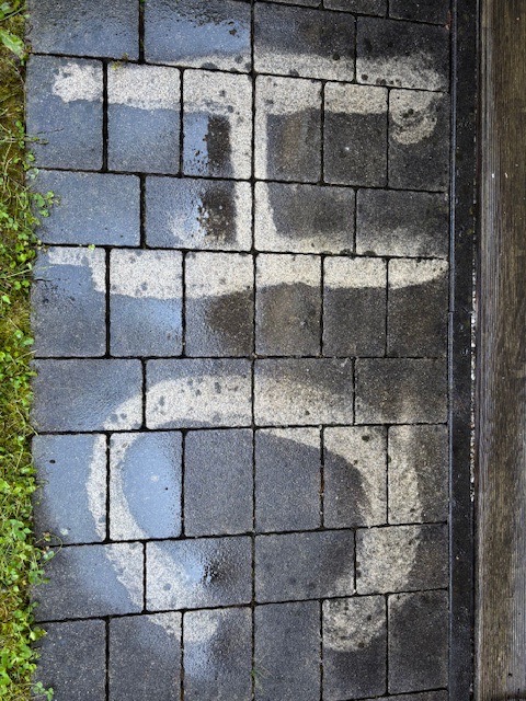 Čiščenje tlakovcev na terasi